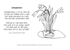 Schneeglöckchen-Hoffmannsthal-ausmalen.pdf